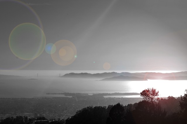 fullsizeoutput_2ca1 copy